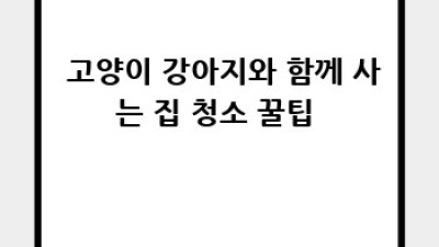 ✨ 풍기읍 전구리 실내 청소 완전 정복! 깨끗한 우리 집 만들기 🏡