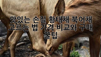 맛있는 손질 황태채, 북어채 고르는 법! 가격 비교와 구매 꿀팁